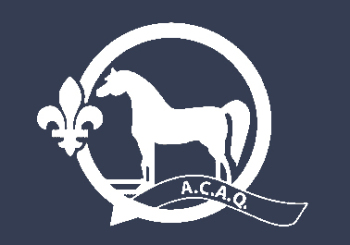 Association du Cheval Arabe du Quebec